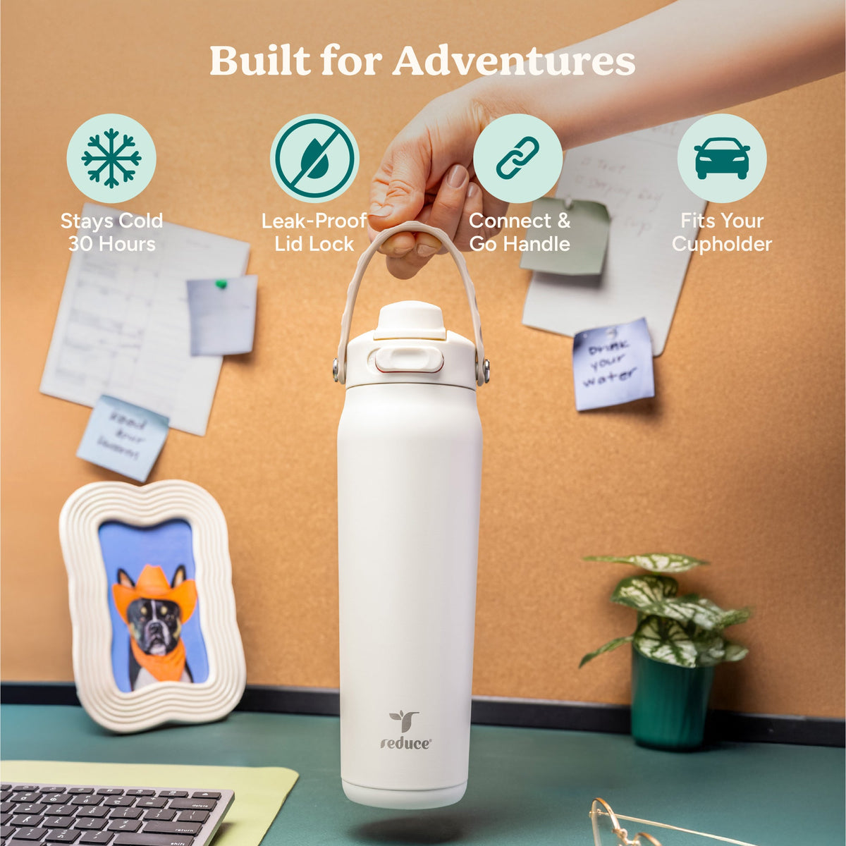 aura-26-oz-j2 Aura_26oz_Unbleached_PDP_Infographic_1.jpg