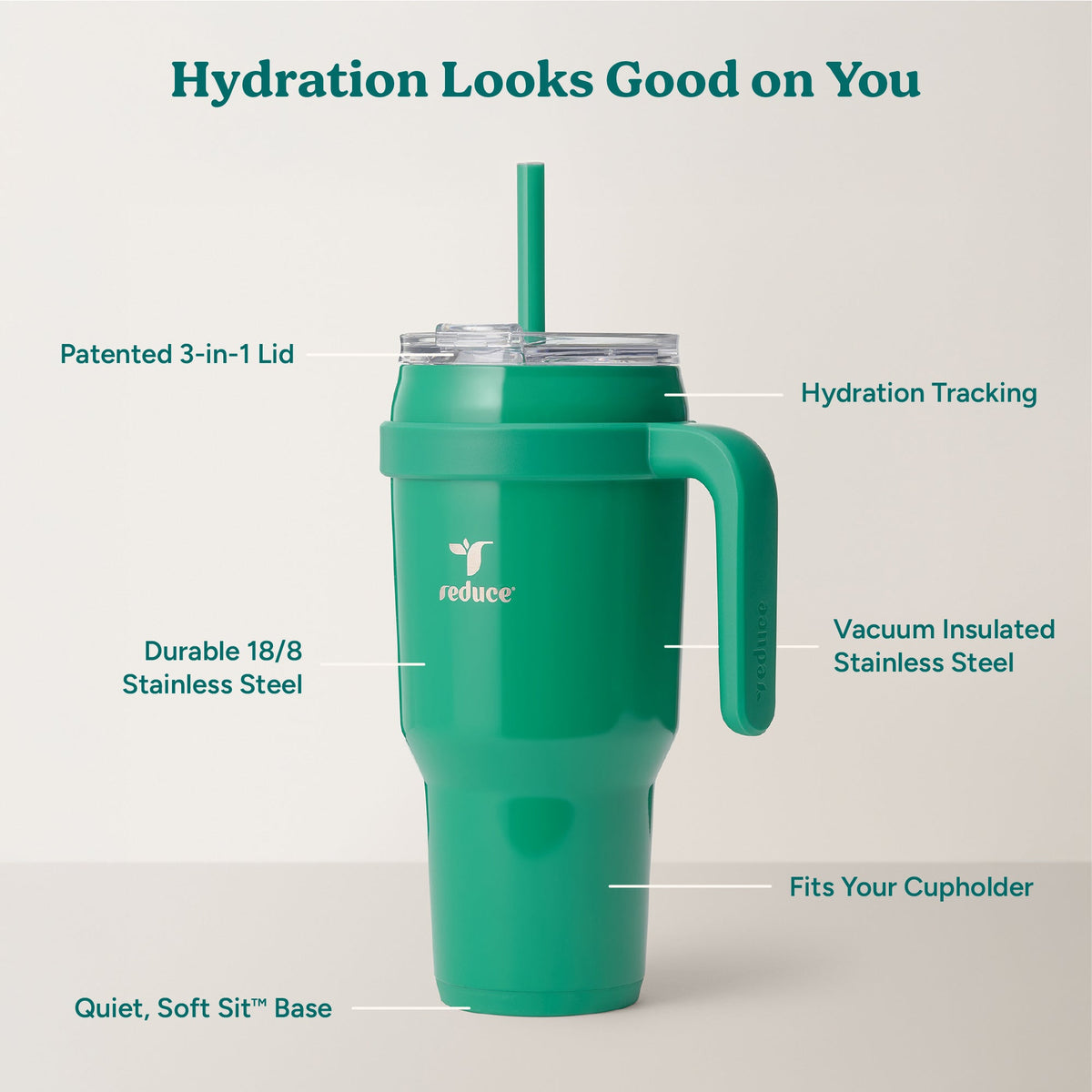 cold1-40-oz-w0 Cold1_40oz_PalmLeaf_Infographic_2.jpg