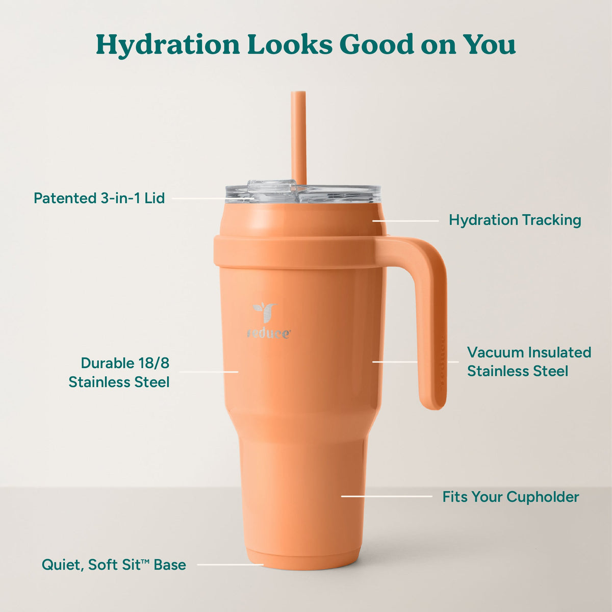 cold1-40-oz-t2 Cold1_40oz_Papaya_Infographic_2.jpg